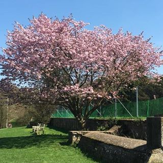 Vera Holmes's avatar