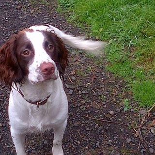 Helen Mulligan's avatar