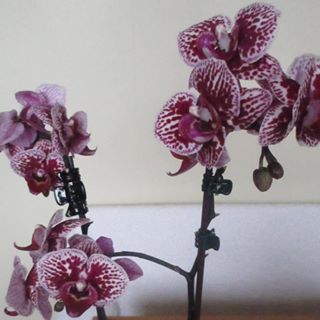 Margaret Grady's avatar