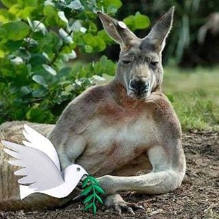 Gordon Moffat's avatar