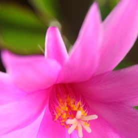 Barbara Brown's avatar