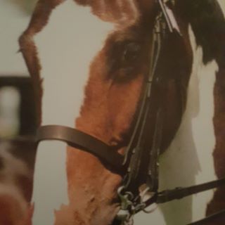 Sue Mcbride's avatar