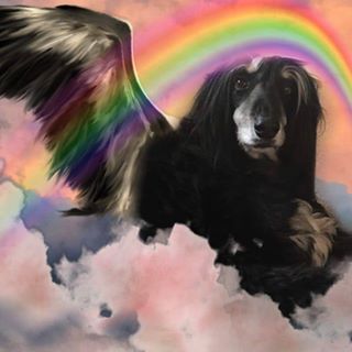 Gary Thom's avatar