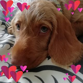 Karen Atherton's avatar