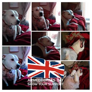 Sian Mealor's avatar