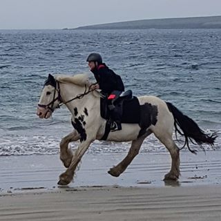 Michelle Campbell's avatar