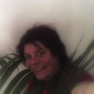 Anne Plimmer's avatar