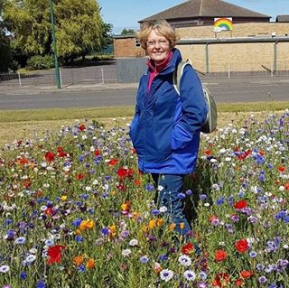 Elaine Cooke's avatar