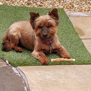 Margaret Bailey's avatar