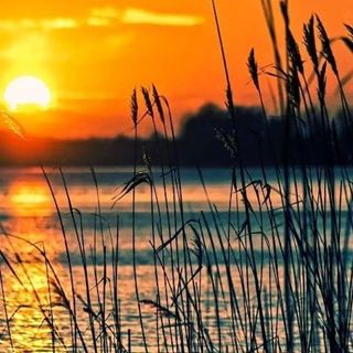 Albert Hanlon's avatar