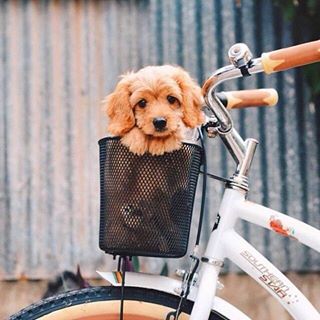 Maria Suarez's avatar