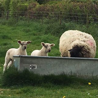 Jackie Poole's avatar