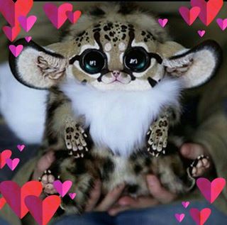 Danielle House's avatar