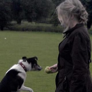 Alexandra Ranson's avatar