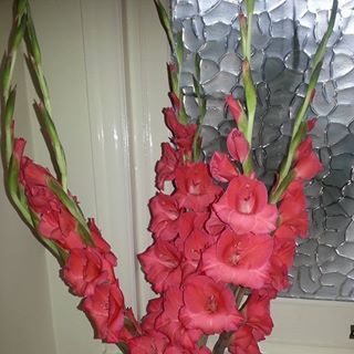 Marcia Fuller's avatar