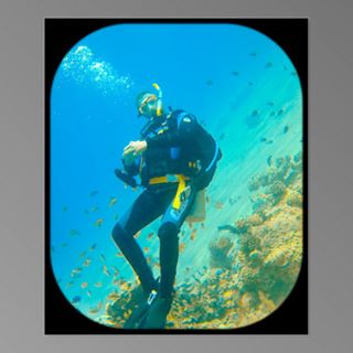 Iain Chapman's avatar