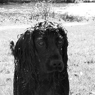 Penny Pryor's avatar