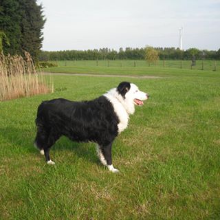 Robert Jackson's avatar