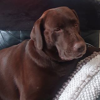 Lisa Roberts's avatar