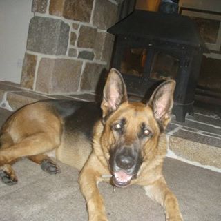 Cilla Perchard's avatar