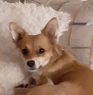 Julie Birks's avatar