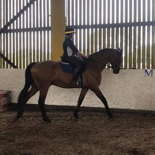 Nicky Whiteside's avatar