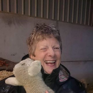 Annette Brown's avatar