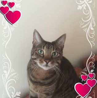 Grace Norton's avatar