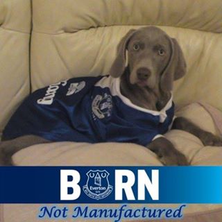 William Everton Hewitt's avatar