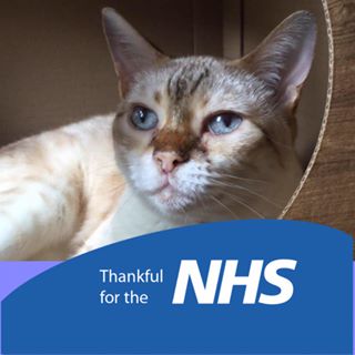 Debbi Finlow's avatar