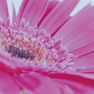 Julia Sparey's avatar