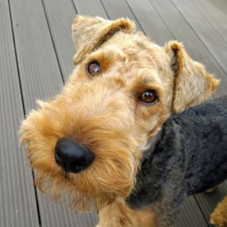 Jenny Taylor's avatar