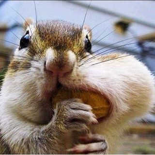 Nichola Lucas's avatar