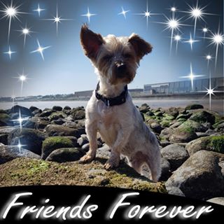 Kirsty Rayment's avatar