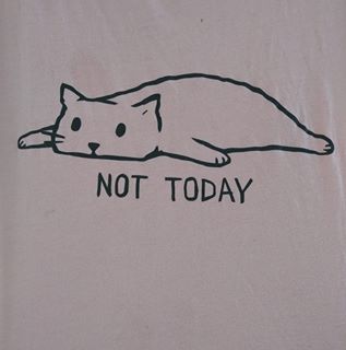 Jane Taylor Everitt's avatar