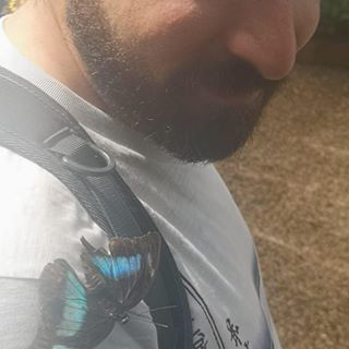 Giovanni Ferri's avatar