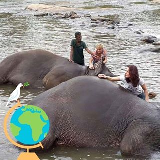 Sue Phillips's avatar