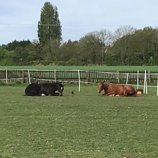 Claire Hooper's avatar