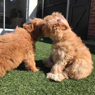 Mary Stevens's avatar