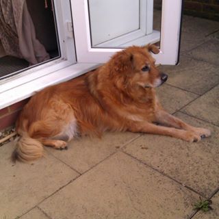 Barrie Green's avatar