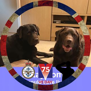 Angela Bass's avatar