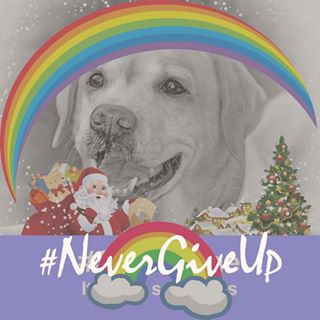 Katie Curran's avatar