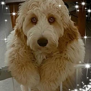 Deborah Staton's avatar