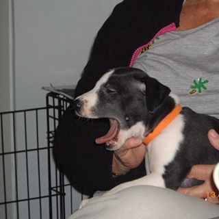 Bill Messenger's avatar