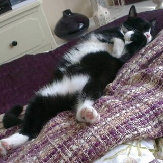 Nicky Couzens's avatar