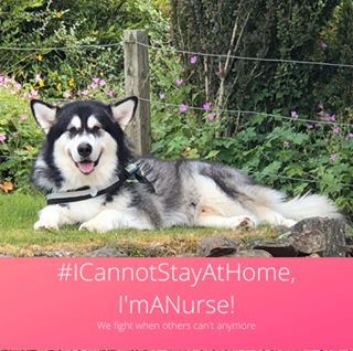 Lorna Hamilton-Turnbull's avatar