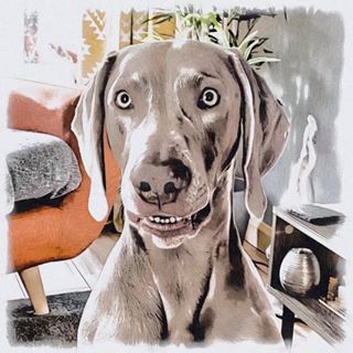 Gail Allison Cookson's avatar