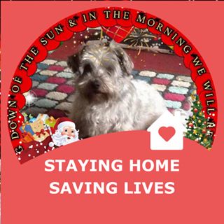 Diane Edwards's avatar