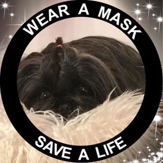 Nikki Taylor's avatar