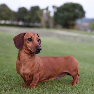Avril Daley's avatar